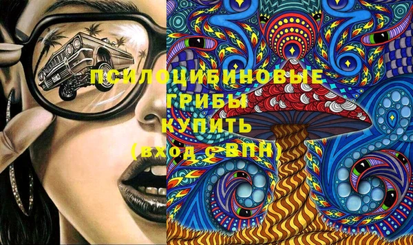 скорость Каменногорск