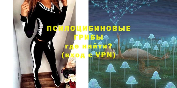 меф Каменск-Шахтинский