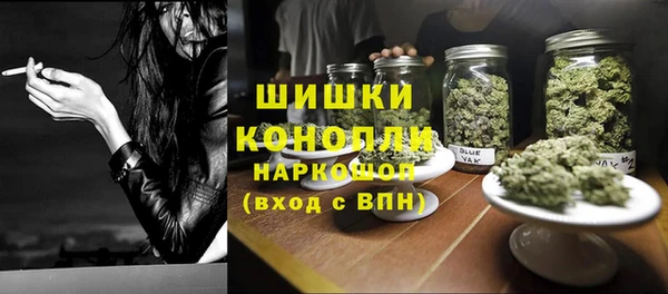 скорость Каменногорск
